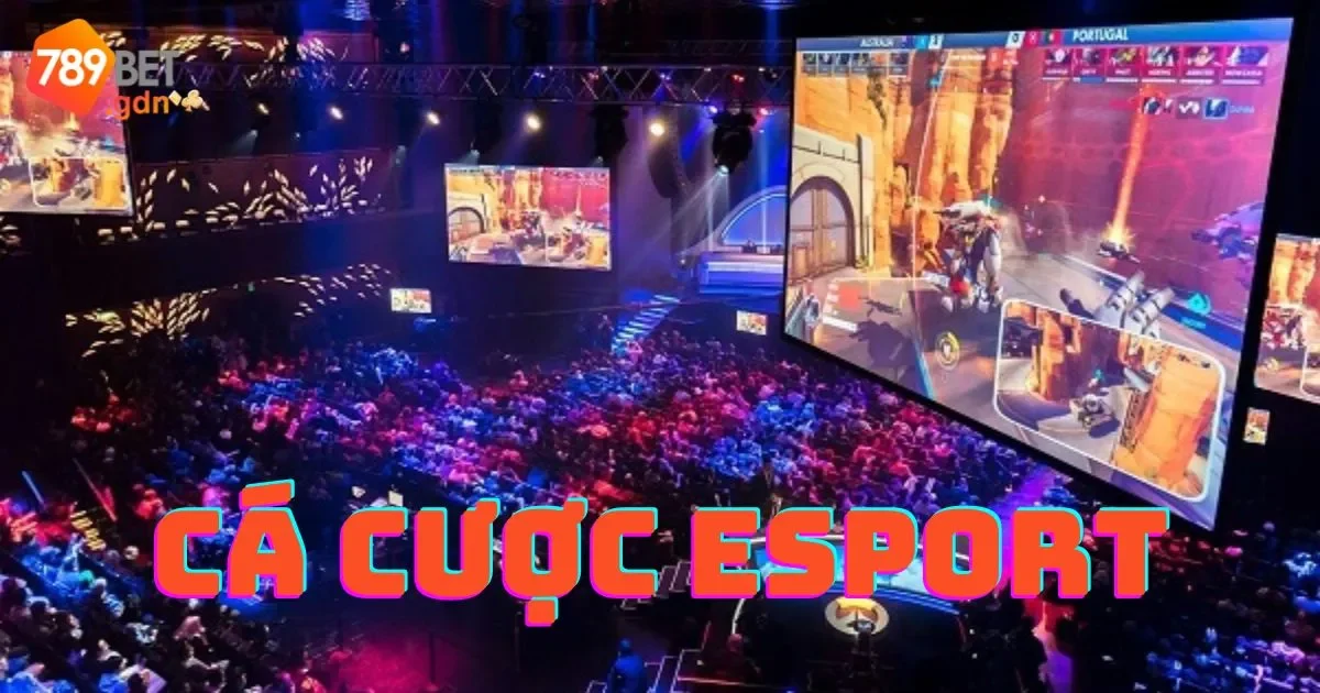 Cá Cược Esports: Hướng Dẫn Chi Tiết Cách Chơi Và Soi Kèo