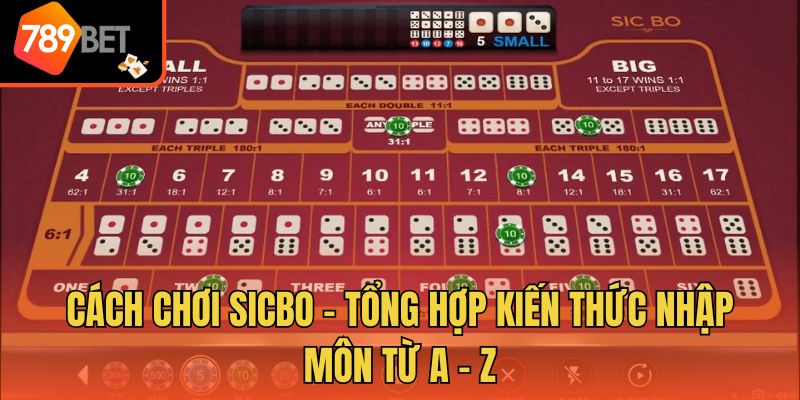 Cách Chơi Sicbo - Tổng Hợp Kiến Thức Nhập Môn Từ A - Z
