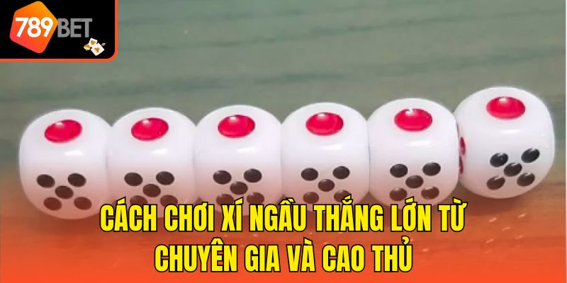 Cách Chơi Xí Ngầu Cho Người Mới - Cơ Hội Kiếm Lợi Nhuận Cao 4 Cách chơi xí ngầu thắng lớn từ chuyên gia và cao thủ