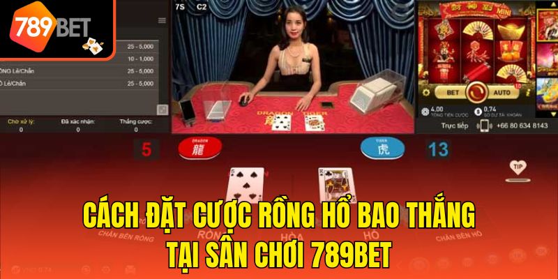 Cách Đặt Cược Rồng Hổ Bao Thắng Tại Sân Chơi 789bet